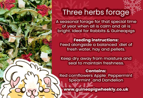 Three wise herbs forage